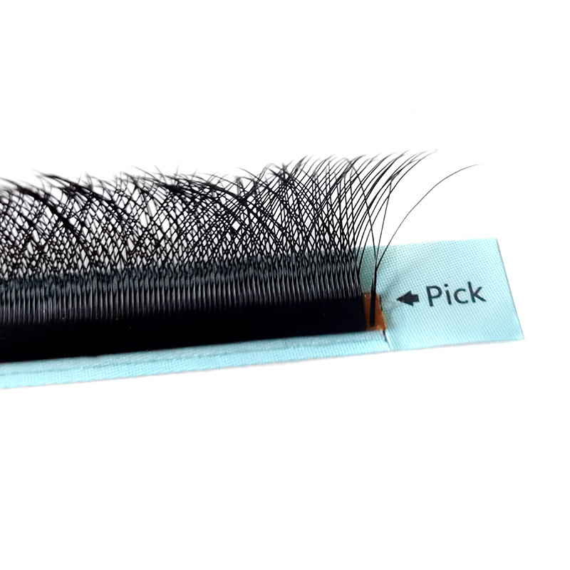 클로버 W 속눈썹 연장 3D 미리 만들어진 볼륨 속눈썹 - Eyelash Extension Logo 리뷰 및 가격