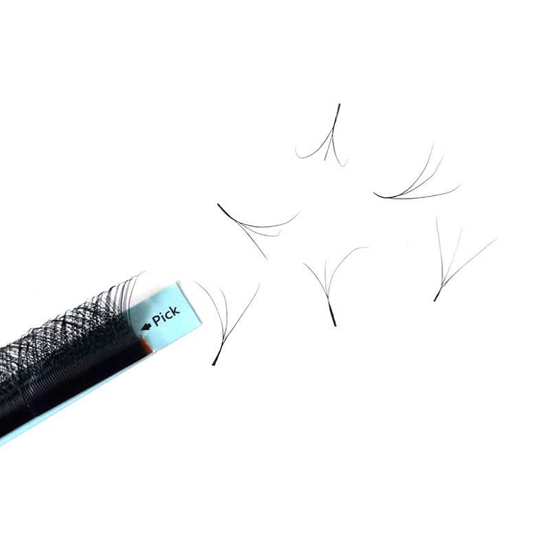 클로버 W 속눈썹 연장 3D 미리 만들어진 볼륨 속눈썹 - Eyelash Extension Logo 리뷰 및 가격